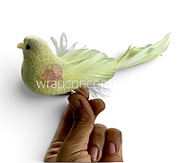 Fairyglow Bird Collection
