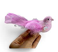 Fairyglow Bird Collection
