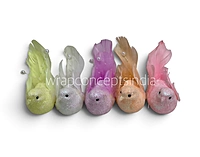 Fairyglow Bird Collection