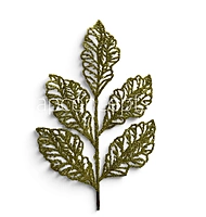 Frosted Leaf Sprig