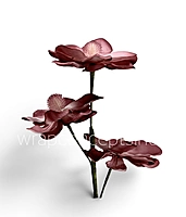 Blooming Magnolia Collection