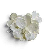 Blooming Magnolia Collection