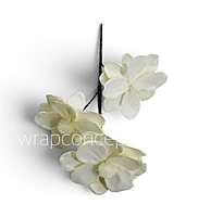 Blooming Magnolia Collection