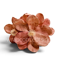 Blooming Magnolia Collection