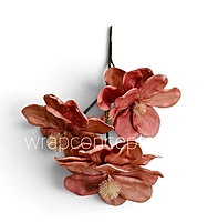 Blooming Magnolia Collection