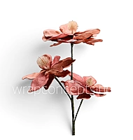 Blooming Magnolia Collection