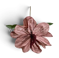 Exotic Lily Bloom