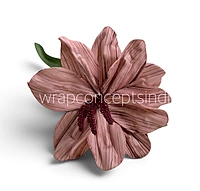 Exotic Lily Bloom