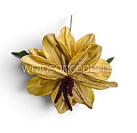 Exotic Lily Bloom