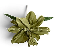 Exotic Lily Bloom