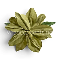 Exotic Lily Bloom