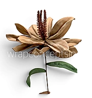 Exotic Lily Bloom