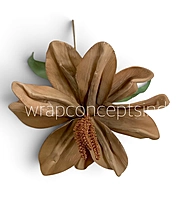 Exotic Lily Bloom