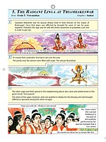 Pictorial Stories For Children Volume - 19