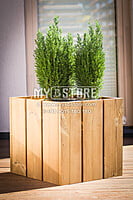 Pine Wood Panels Pine Wood Panels