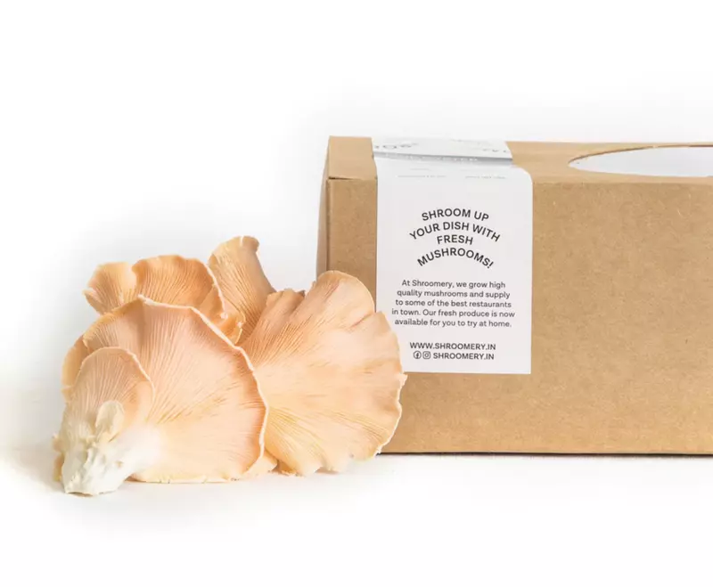 Pink Oyster Mushrooms 250 Gms