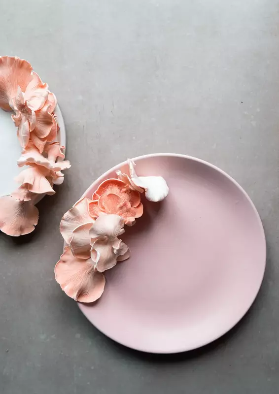 Pink Oyster Mushrooms - Shroomery