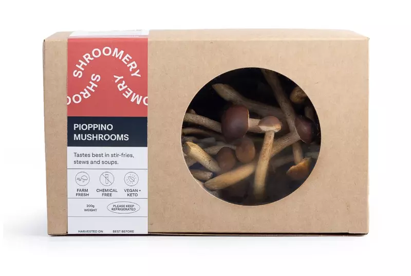 Pioppino 200 gms - Shroomery