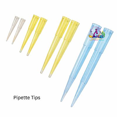 Pipette Tips – Disposable Tips for Laboratory Micropipettes