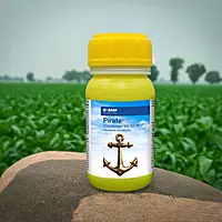 Pirate by BASF