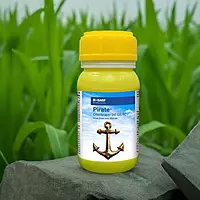 Pirate by BASF
