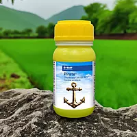 Pirate by BASF
