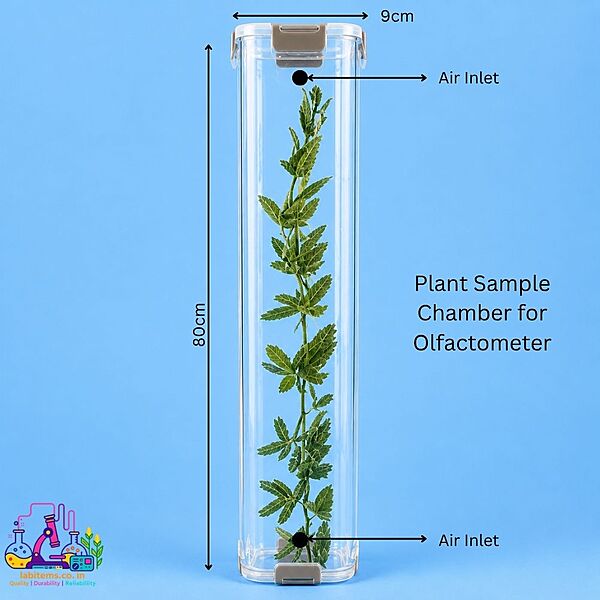 Plant Sample Chamber for Olfactometer