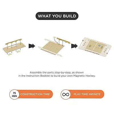 Polar Puck Magnetic Hockey