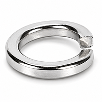M8 Spring Lock Washer SS