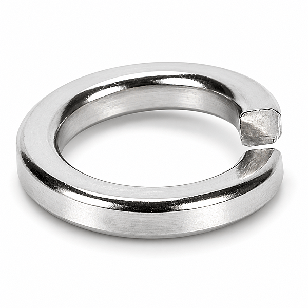 M8 Spring Lock Washer SS