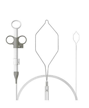 Polypectomy Snare (Disposable)