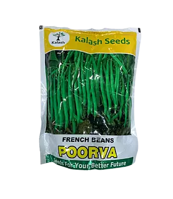 Poorva French Beans by Kalash Seeds