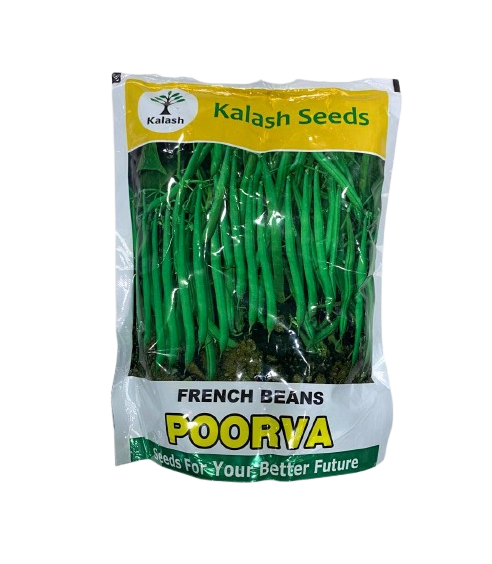 Poorva French Beans by Kalash Seeds