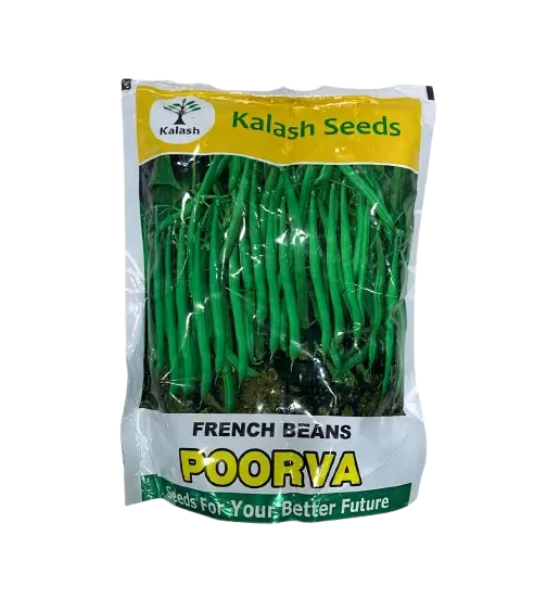 Poorva French Beans by Kalash Seeds