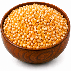 Pop Corn Seeds