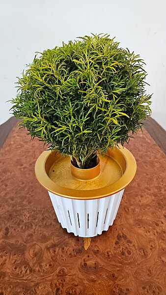 Self Watering Plant Pot