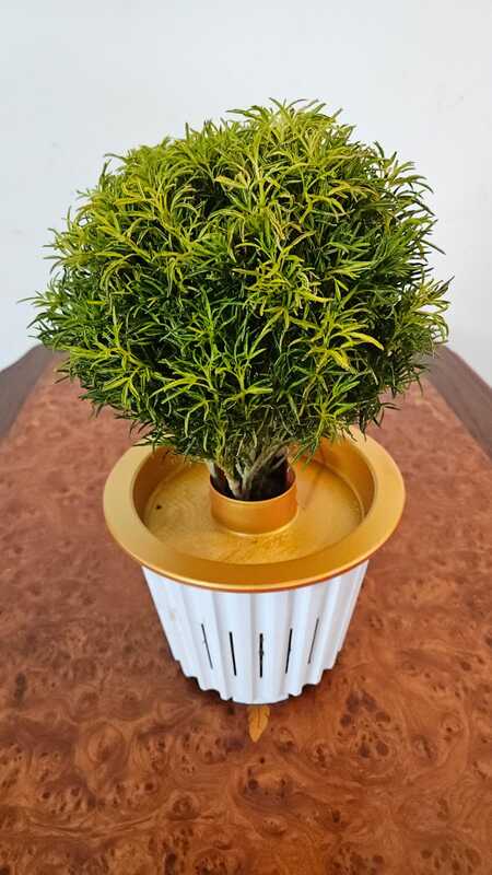 Self Watering Plant Pot