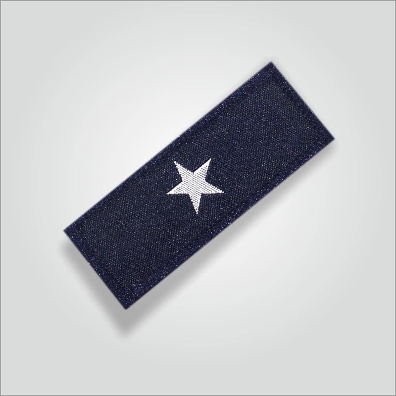 Charan Badges Pratham