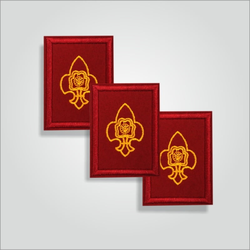 Pravesh Badge Rover/Ranger