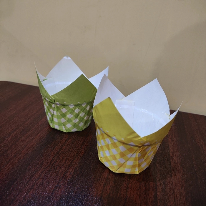 Premium Tulip(Pack of 50)