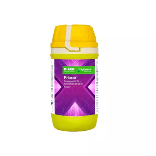 Priaxor Fungicide(BASF)