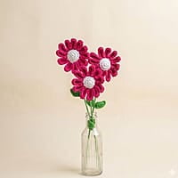 Daisy Large Flower Dark Pink