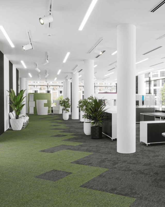 Professional Office Open Plan