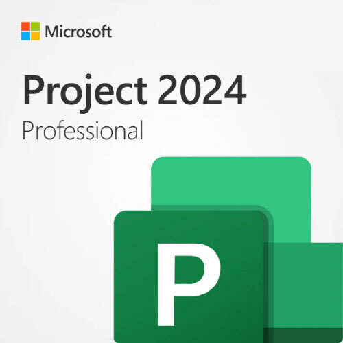 Project Professional 2024
