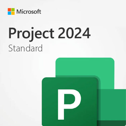 Project Standard 2024 m