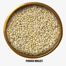 Proso Millet