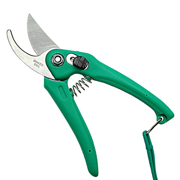Pruner