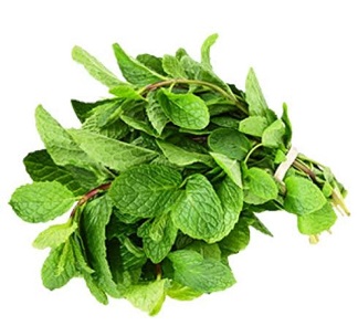 Mint Leaves / Pudina