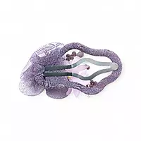 Elegant Purple Floral Beaded Organza Snap Hair Clip
