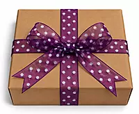 Deep Purple Organza Polka Dot Ribbon-20 Yards-2.5 cms
